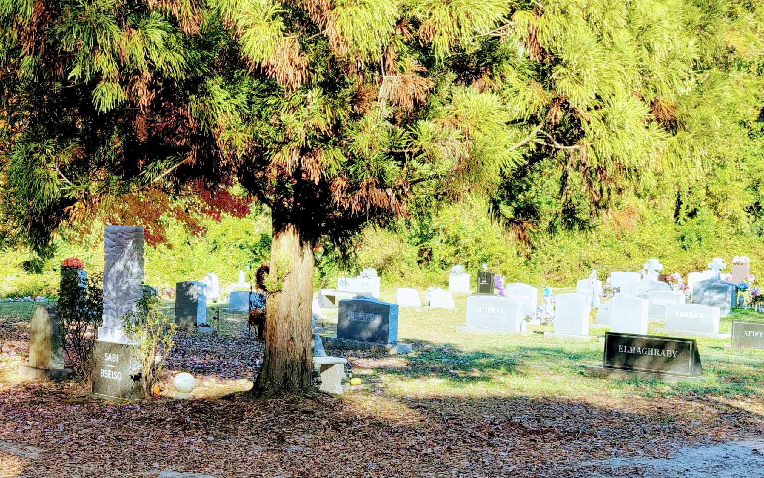 Photo Tour of Historic Oakwood Cemetery