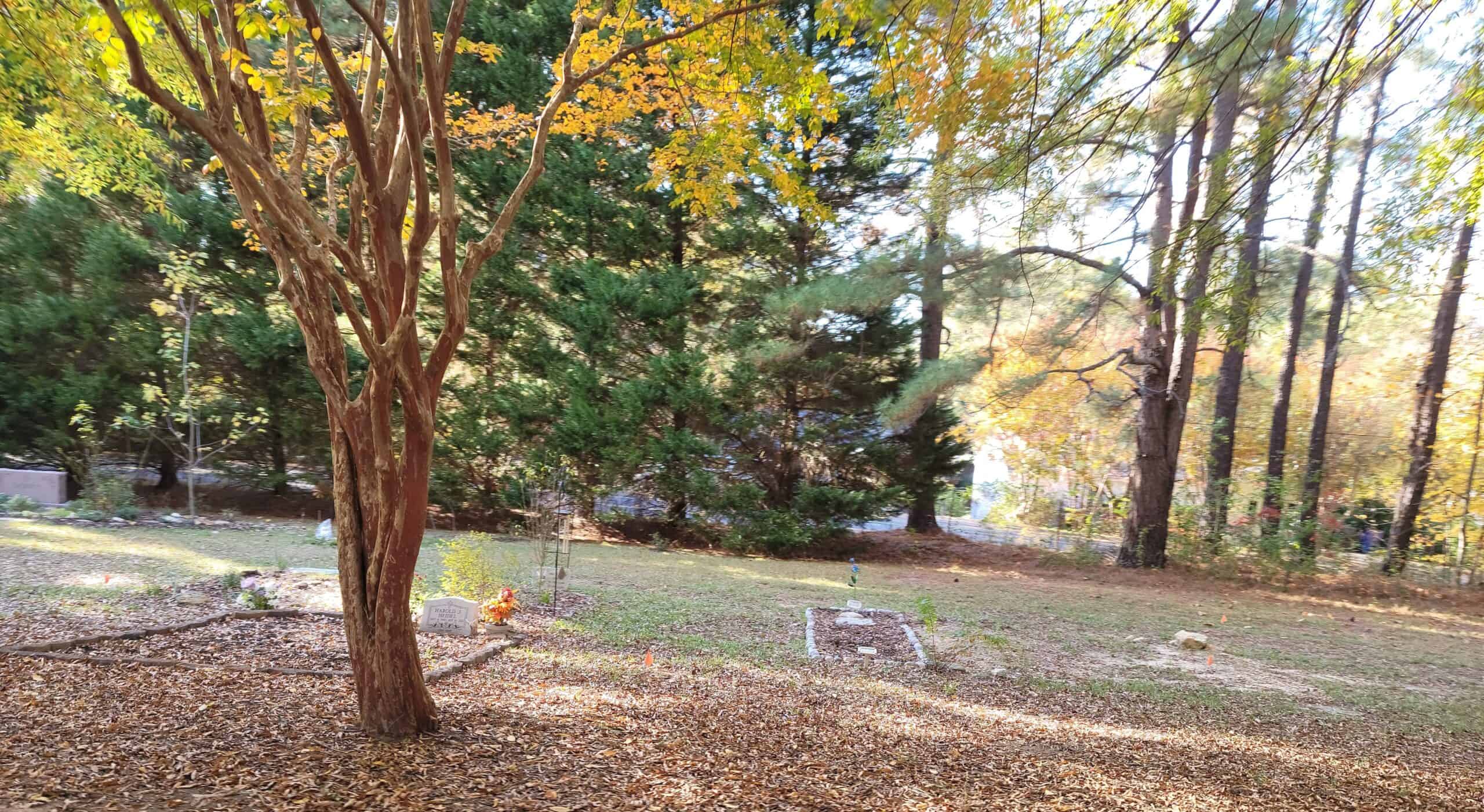Photo Tour of Historic Oakwood Cemetery