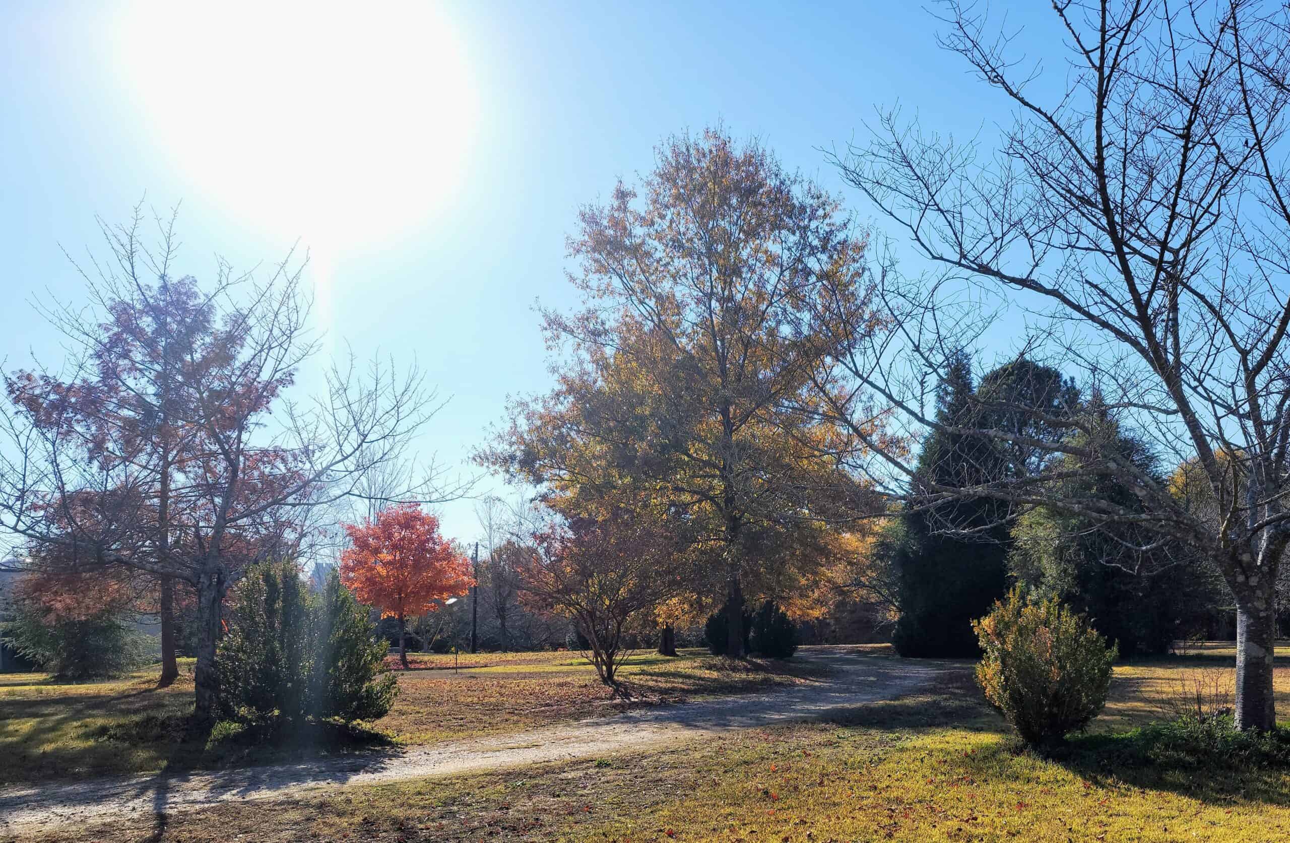 Photo Tour of Historic Oakwood Cemetery