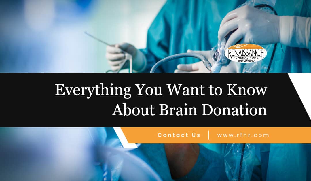 brain donation