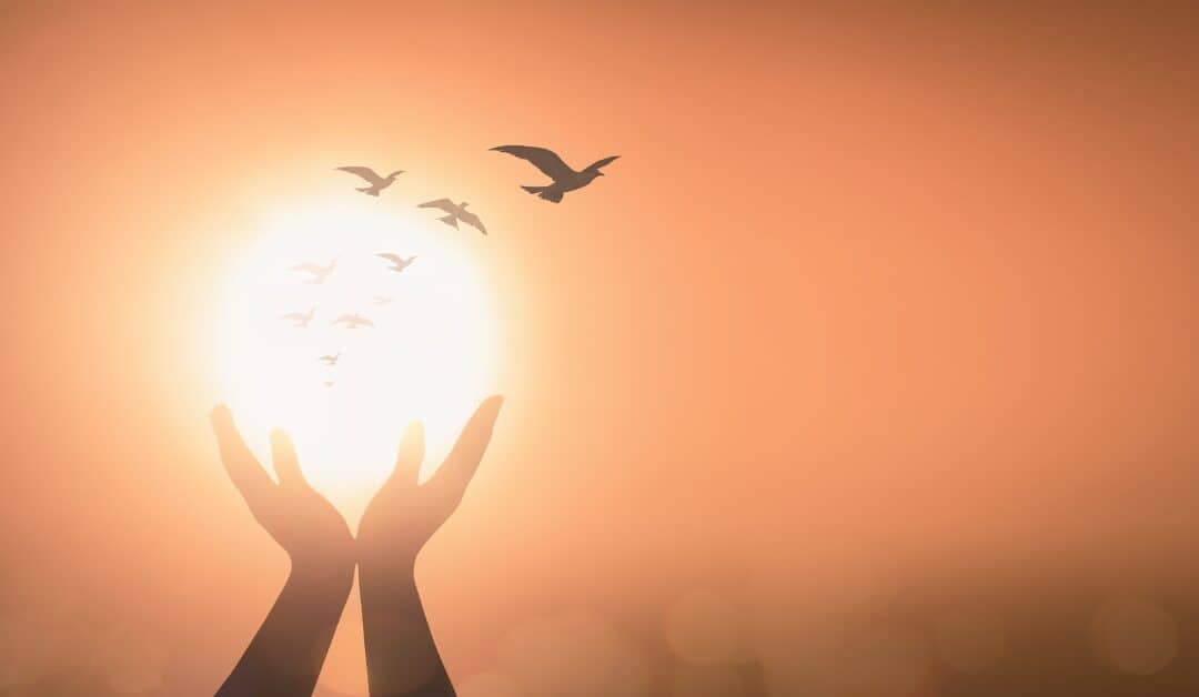 What Happens to Ashes After Cremation? Creating Meaningful Remembrance